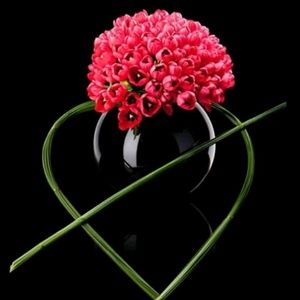 Meet your Posher, Paula